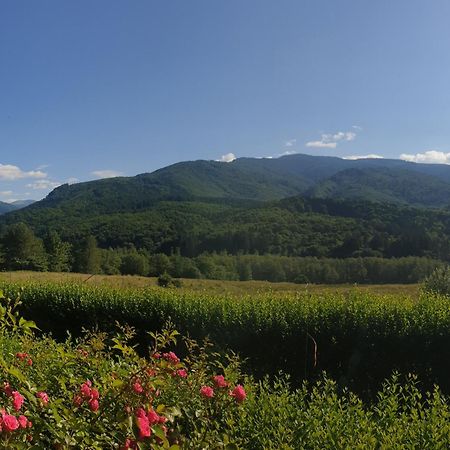 Valea Doamnei Hotel Nuksora Kültér fotó
