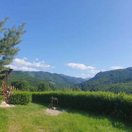 Valea Doamnei Hotel Nuksora Kültér fotó