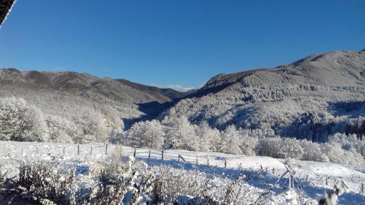 Valea Doamnei Hotel Nuksora Kültér fotó